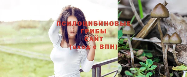 a pvp Алзамай