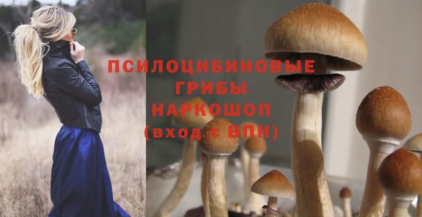 прущие крисы Алексин