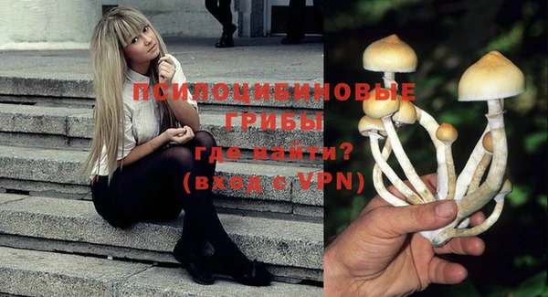 прущие крисы Алексин